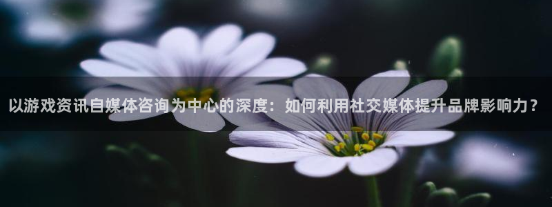 星欧娱乐平台官网入口：以游戏资讯自媒体咨询为中心的深度：如何