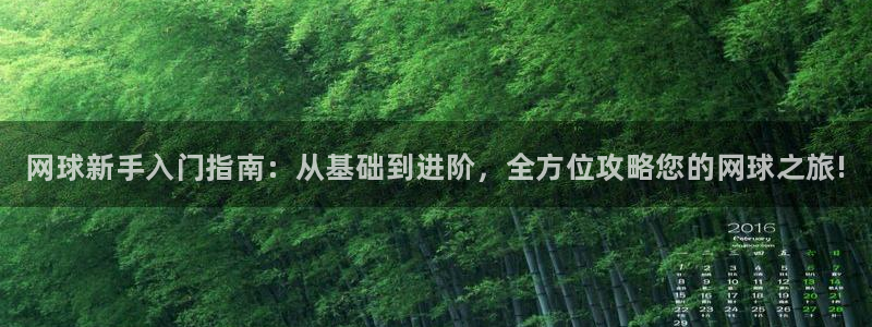 手机版星欧娱乐客户端下载：网球新手入门指南：从基础到进阶，全