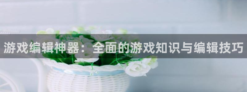 星欧娱乐平台官方网站：游戏编辑神器：全面的游戏知识与编辑技巧