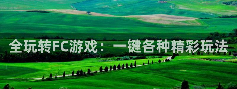星欧娱乐登陆：全玩转FC游戏：一键各种精彩玩法