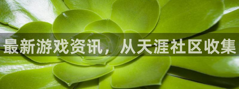 星欧娱乐4主管：最新游戏资讯，从天涯社区收集