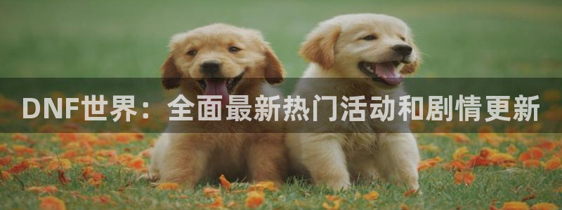 星欧娱乐官方平台：DNF世界：全面最新热门活动和剧情更新